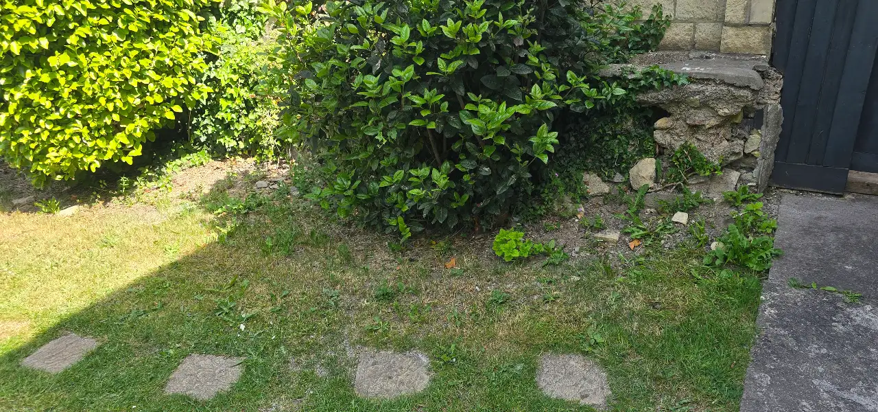 Clean site after rubbish removal