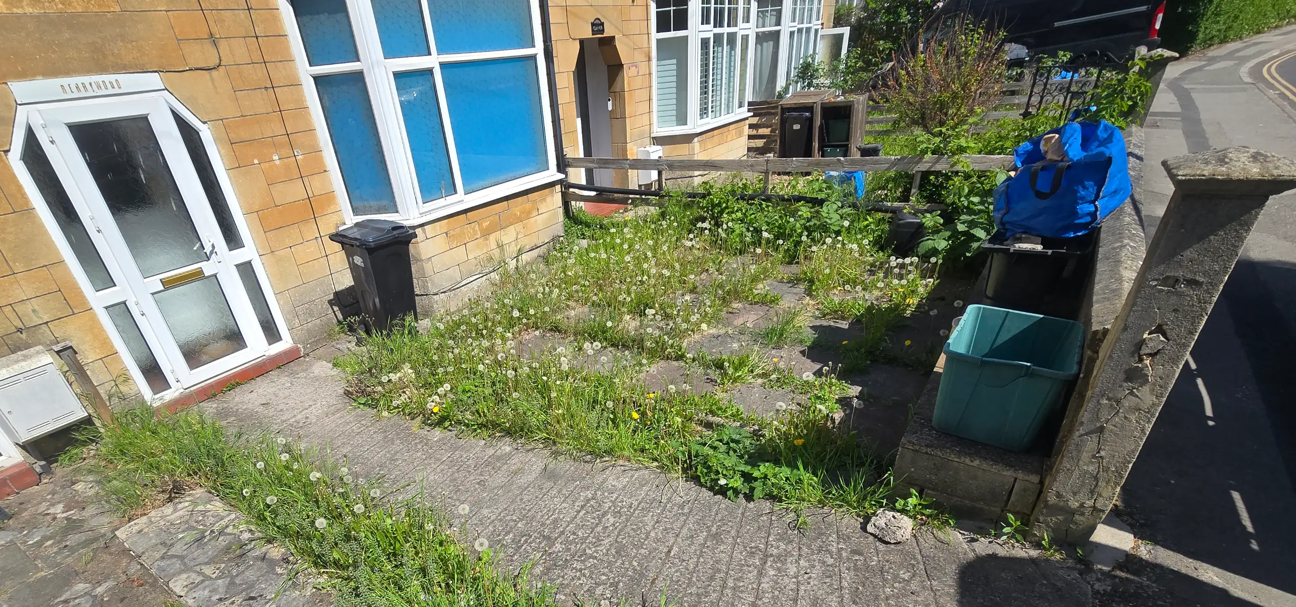 Garden before clearance