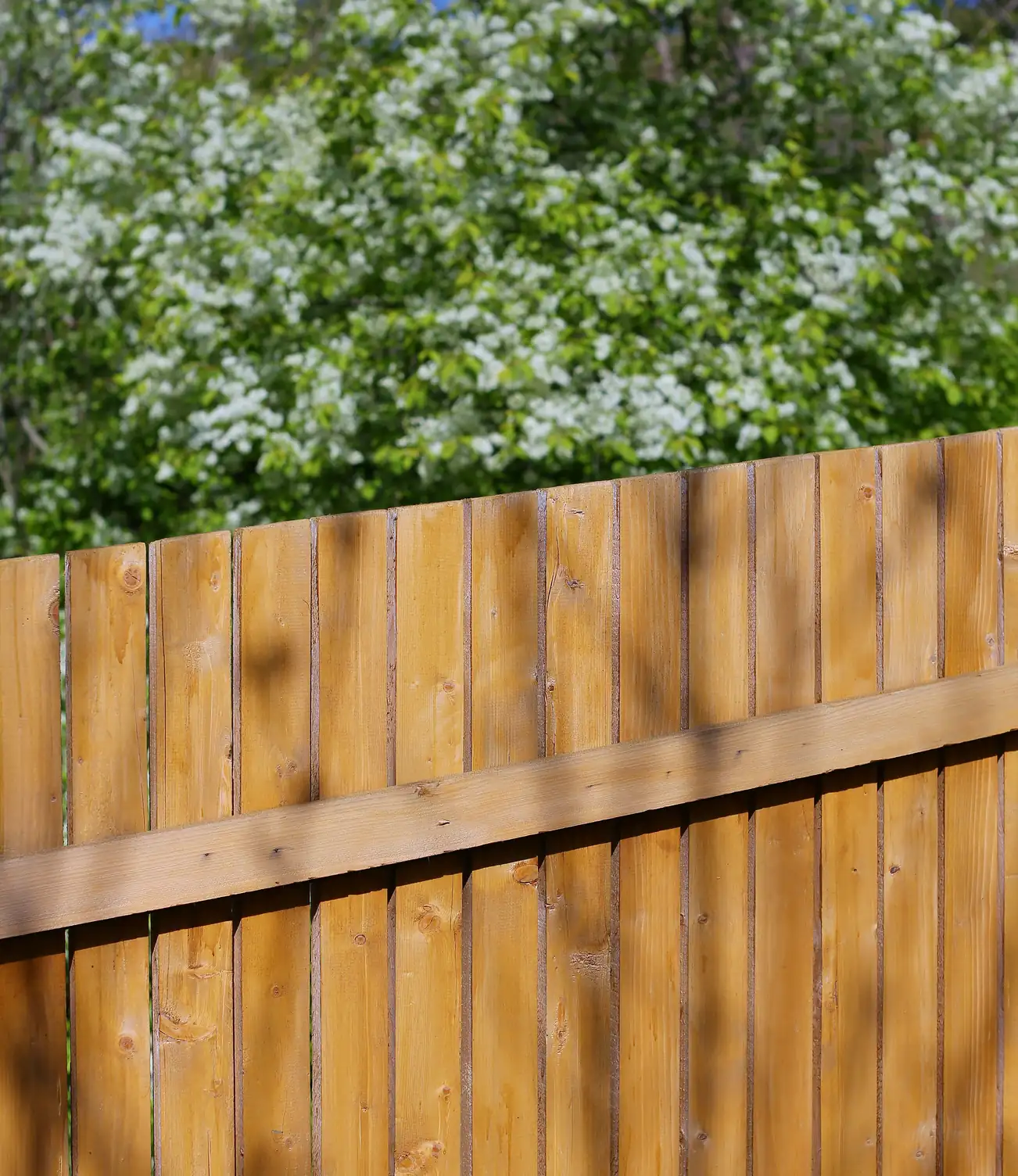 Fence repair service in Bath with professional tradesperson fixing damaged wooden fence panels and posts