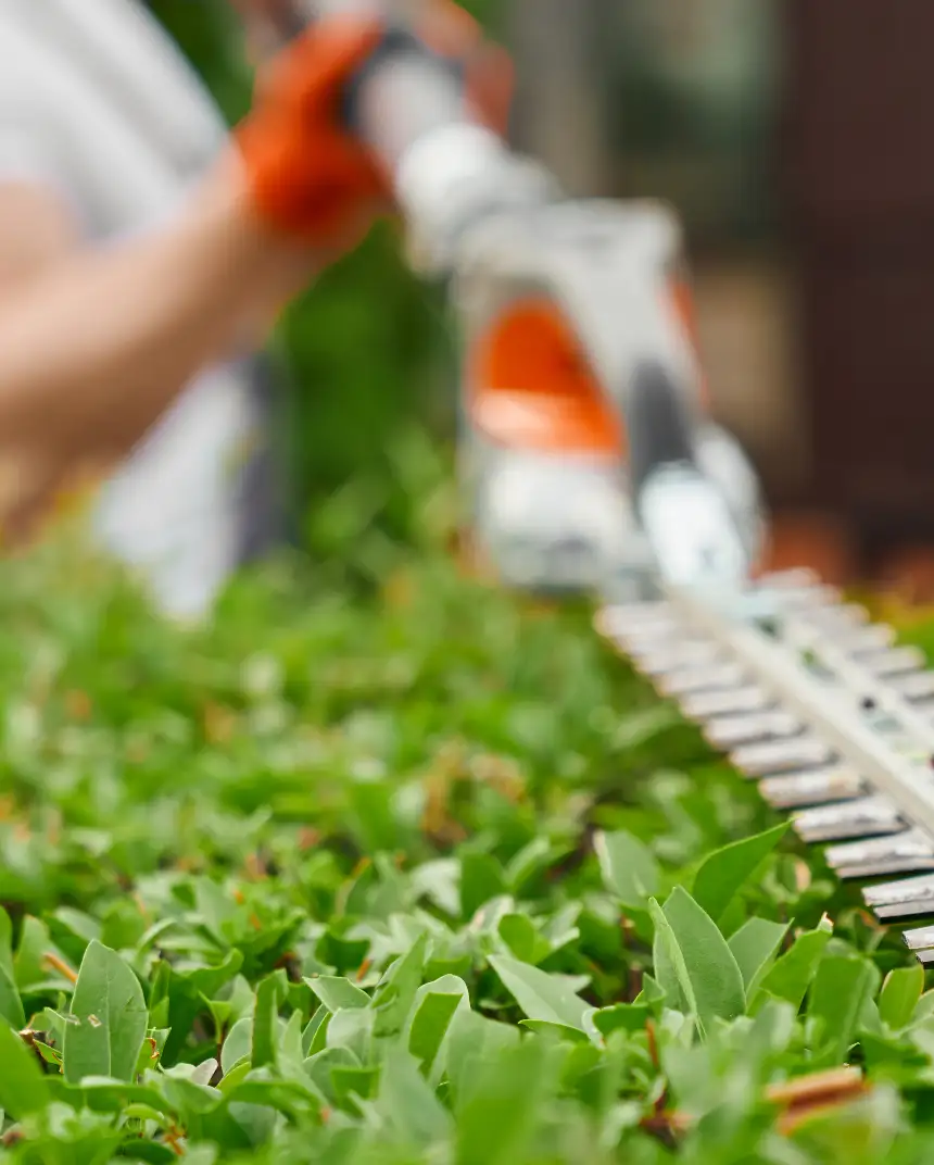 Garden waste including branches, soil and green waste being cleared from outdoor space