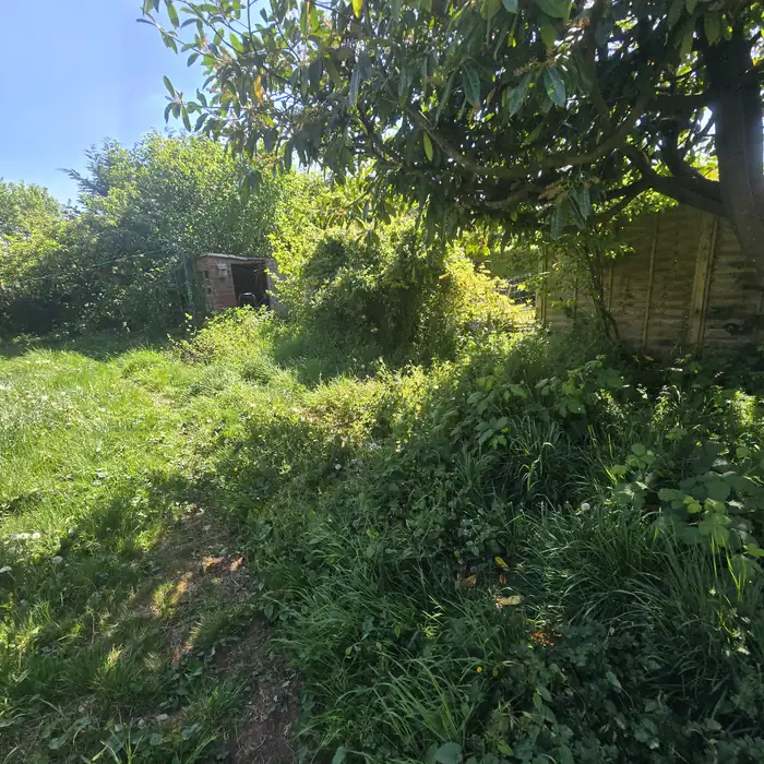 Garden clearance before work showing green waste in Bath